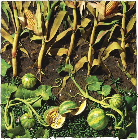 Piero Gilardi Torino 1942 Meloni in Grecia, 1992 Poliuretano espanso dipinto,...