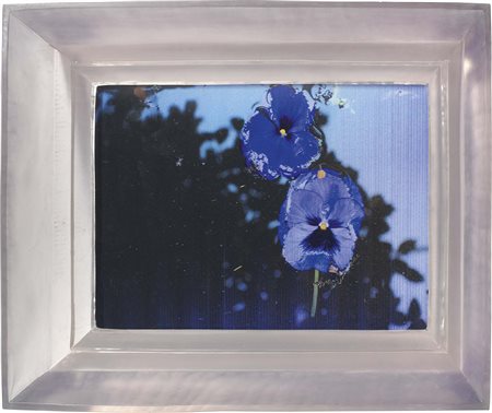 Chiara Dynys Mantova 1958 Poisoned Flowers, 2013 Tecnica mista, con cornice...