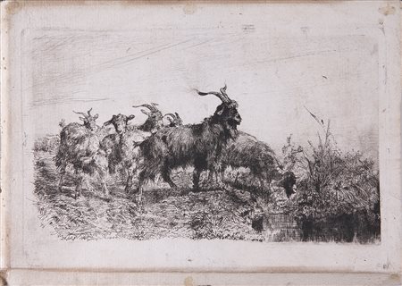 PALIZZI FILIPPO (1818 - 1899) Caprette. Incisione. Cm 18,00 x 27,00. Firma e...