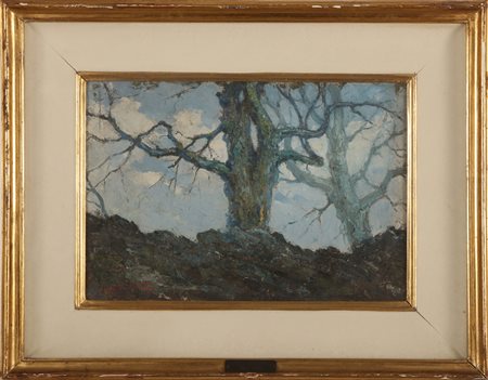 SIDOLI PACIFICO (1868 - 1963) Studio per alberi. 1928. Olio su cartone...