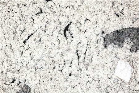 NOBUYA ABE 1913 - 1971 Shadow, 1960 Polimaterico su tavola, cm. 60,5 x 90,5...