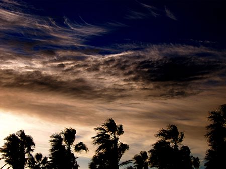 Claudia Mazzola Legnano 1992 Gone 2014 Fotografia digitale 60x80 Certificato...