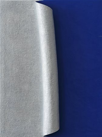 ANTONIO BACCARIN (1954)Senza Nome, 2007Acrilici su tela e arrotolamento di...