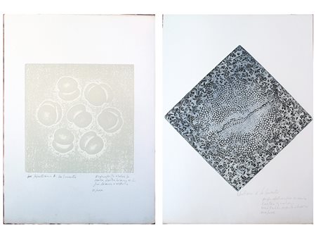 Sebastiano A. De Laurentiis (1938) 02 Senza titolo 70x50 cm Acquaforte