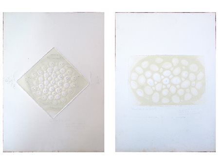 Sebastiano A. De Laurentiis (1938) 02 Senza titolo 70x50 cm Acquaforte