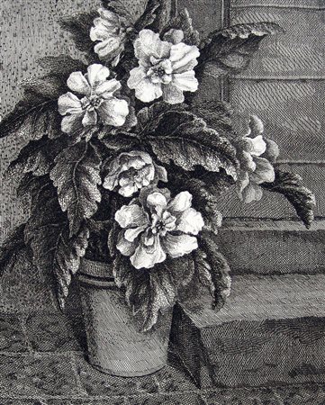 Vairo Mongatti 1934, Firenze (Fi) - [Italia] senza titolo acquaforte 70x50 cm...