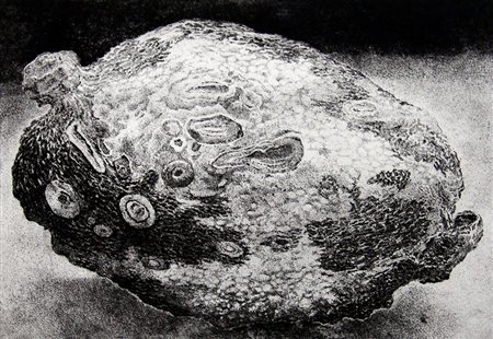 Vinicio Perugia 1947, Fabriano (An) - [Italia] La tartazucca acquaforte 40x53...