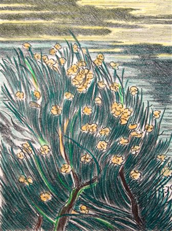 Bruno Fanesi 1915, Ancona (An) - 2012, Ancona (An) - [Italia] Ginestre sul...