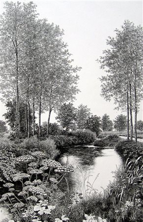 Agostino Zaliani 1932, Pavia (Pv) - [Italia] Rigoglio acquaforte 70x50 cm es....