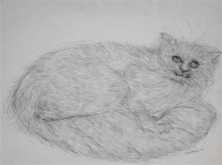 Colombotto Rosso Enrico GATTO disegno su carta intelata a pennino china, cm...