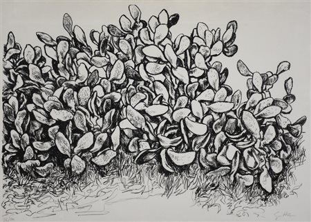 Guttuso Renato Senza titolo litografia su carta, cm 55x75 esemplare 26 di 120...