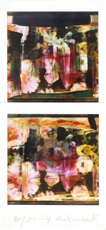 GALIMBERTI MAURIZIO (n. 1956) Bi Flowers. Polaroid doppia. Cm 7,50 x 15,50....