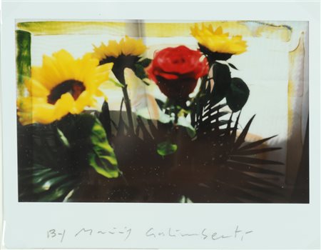 GALIMBERTI MAURIZIO (n. 1956) Studio Flowers. Polaroid singola. Cm 11,00 x...