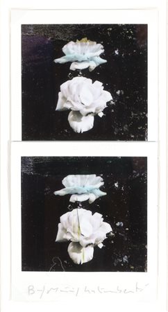 GALIMBERTI MAURIZIO (n. 1956) Bi Flowers. Polaroid doppia. Cm 7,30 x 15,50....