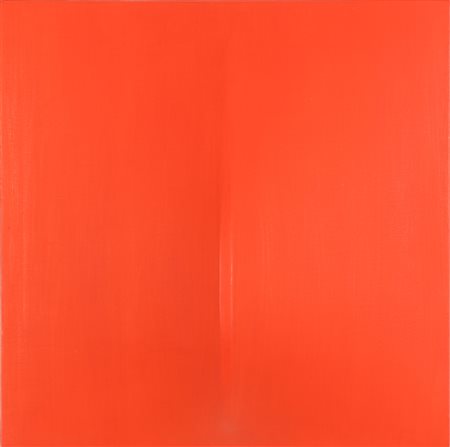 DI CAMPI LOI (n. 1948) Moduli sommersi. 2015. Acrilico su tela estroflessa....