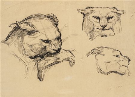 Pierre-Paul Jouve (Marlotte 1878 - Parigi 1973) (Attribuito) "Studio per...