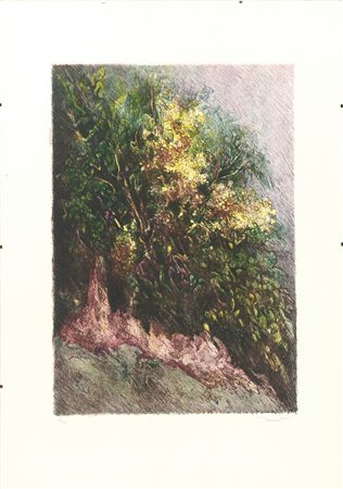 Sandra Tenconi (Varese 1937) "Senza titolo" litografia a colori (foglio cm...