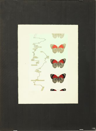 Tom Philips (Clapham 1937) "Senza titolo" litografia (40x31). Firmata e...