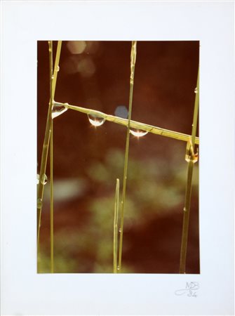 MARIO DE BIASI (1923 - 2013) Astrazioni con rugiada n.2 1980 ca. Stampa...