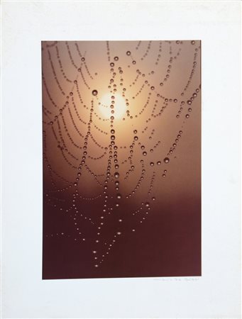 MARIO DE BIASI (1923 - 2013) Astrazioni con rugiada n.2 1980 ca. Stampa...