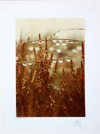 MARIO DE BIASI (1923 - 2013) Astrazioni con rugiada 1980 ca. Stampa...