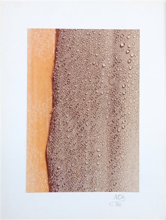 MARIO DE BIASI (1923 - 2013) Astrazioni con rugiada 1980 ca. Stampa...