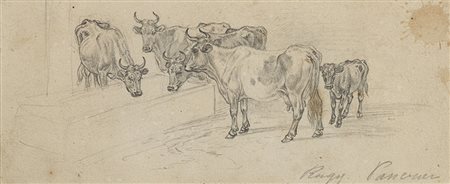 Ruggero Panerai (Firenze 1862 - Parigi 1923) "Mucche all'abbeveratoio" matita...