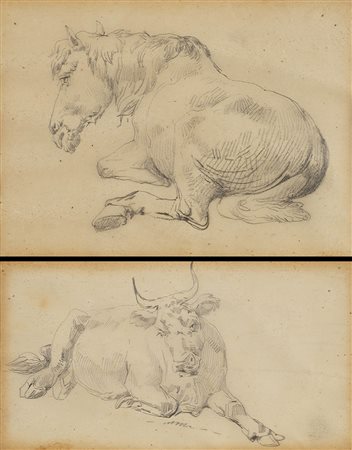 Due disegni di scuola del secolo XIX "Cavallo" matita nera su carta mm 87x120...