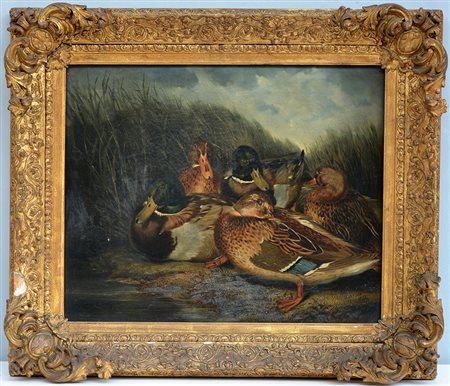 W. Wattson (secolo XIX ) "Anatre" olio su tela (cm 44x54) Datato 1856. In...