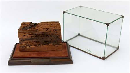 Parte di trave di Westminster Hall contenuto in teca (difetti)