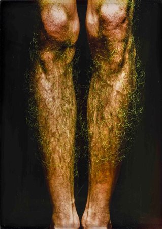 ROBERT GLIGOROV (1960) Max I 1997 Stampa fotografica Ilfochrome su forex in...