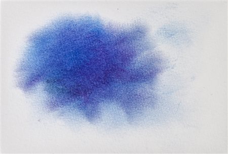 GIOVANNA DI COSTA (1967) Dalla serie Autopsia 1997 Serie di 11 pastelli su...