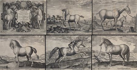 Gruppo di dodici antiche incisioni raffiguranti "Cavalli" più una di...