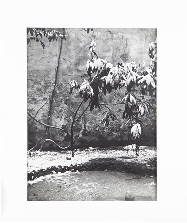 Paolo Monti Novara 1908 – Milano 1982 fotografia cm 38,5x30 al retro firma di...