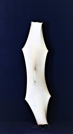 CASTIGLIONI ACHILLE E PIERGIACOMO Lampada da terra in metallo e cocoon, per...