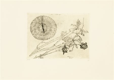 RENZO BIASION (1914-1996)Fiori e conchigliaIncisioneLastra cm 20x27Foglio cm...