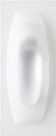 PAOLO RADI (1966)Nel dire originario, 2011Perspex e pvc su tavolacm...