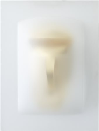 PAOLO RADI (1966)Trasfiguratamente sereno, 2007Perspex e pvc su tavolacm...