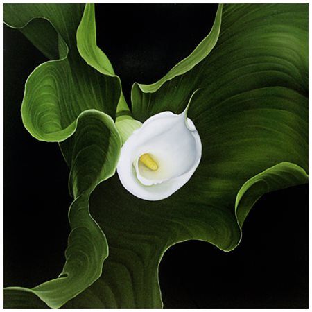 MARCO MONALDI Ancona 1949 Senza titolo 2007 Olio su tavola 80 x 80. Firma e...