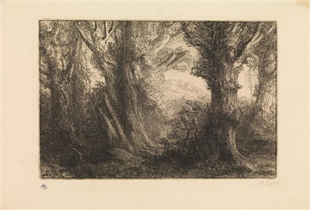 Alphonse Legros PAESAGGIO BOSCHIVO Acquaforte. mm 217x332. Firmata a matita e...