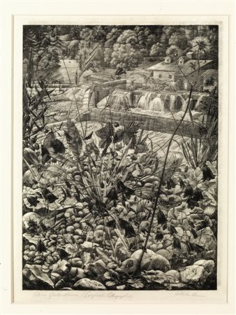 Wilhelm Heise DUE LITOGRAFIE Kleine glockenblume. Litografia a raschietto. mm...