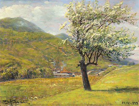 Berto Ferrari (Bogliasco 1887 - Genova 1965)"Studio dal vero, vecchio melo in...