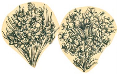 PIERO FORNASETTI (1913-1988) Lotto composto da n. 16 lucidi raffiguranti...