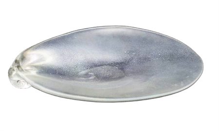 CARLO SCARPA (1906-1978) VENINI Conchiglia in vetro con superficie fortemente...