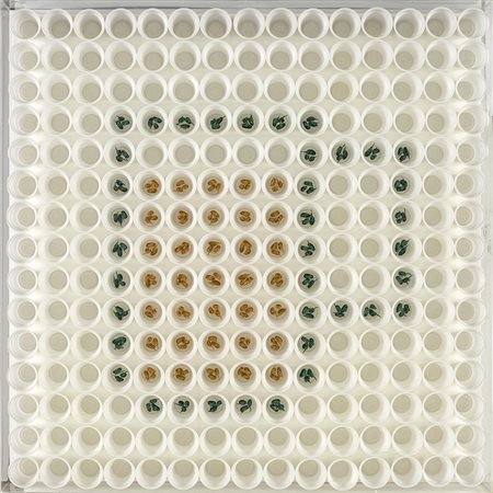 CRISTIANO PETRUCCI (Roma 1974) CAFFÈ bicchieri di plastica e soldatini, 89x89...