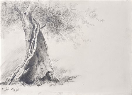 Hugo Grimm Olivo a Torbole, 1903;Matita, 28,6 x 39,9 cm Titolo e data Bibl.:...