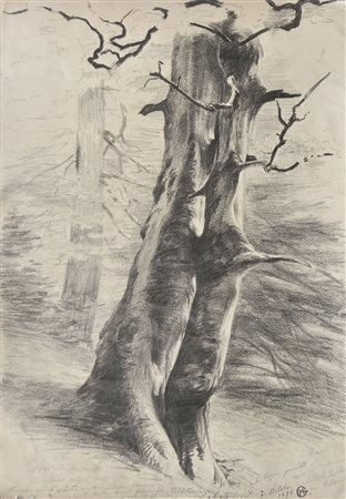 Hugo Grimm Faggio nella pioggia, 1898;Bleistift, 40 x 28,3 cm Signiert u....