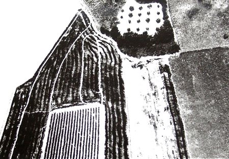 Mario Giacomelli 1925, Senigallia (An) - 2000, Senigallia (An) - [Italia]...