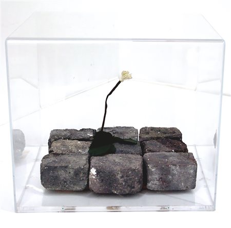 Peter Rosel 1966, Rockenhausen - [Germania] Gänseblümchen assemblaggio di...