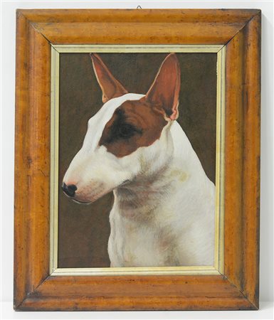 Ignoto "Cane" olio su masonite (cm 40x30) In cornice